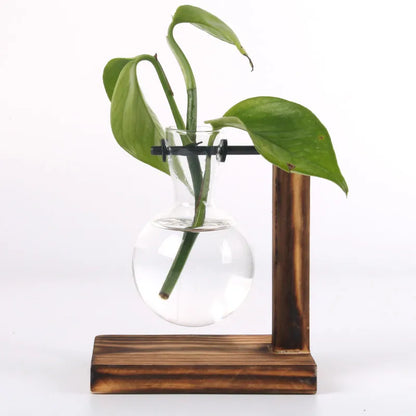 Hydroponic Plant Vase