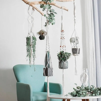 Plant Hanging Basket