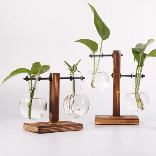 Hydroponic Plant Vase