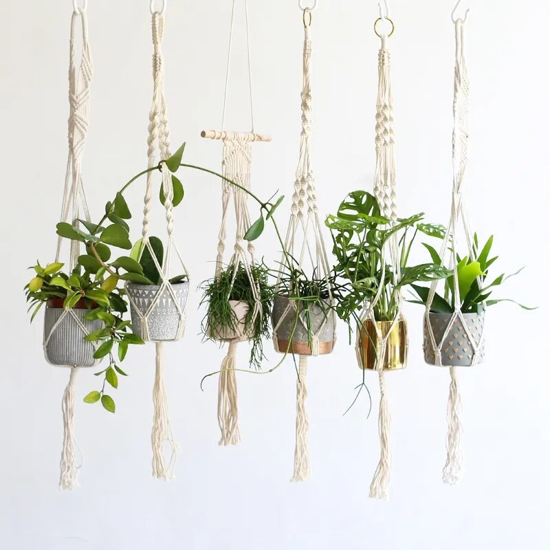 Plant Hanging Basket